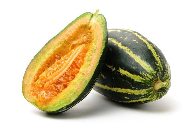 Cucumber cultivation techniques
