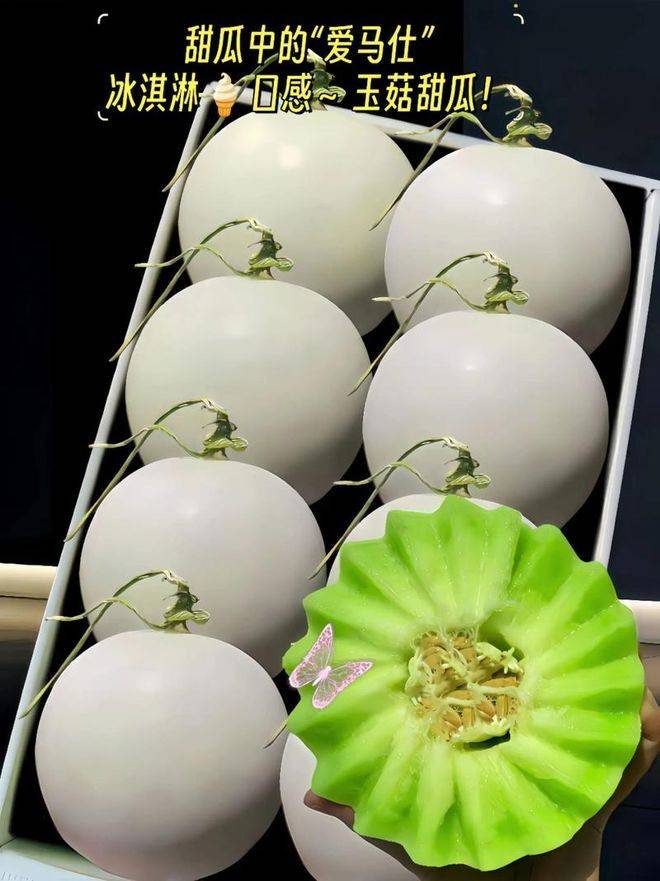 Cucumber cultivation techniques