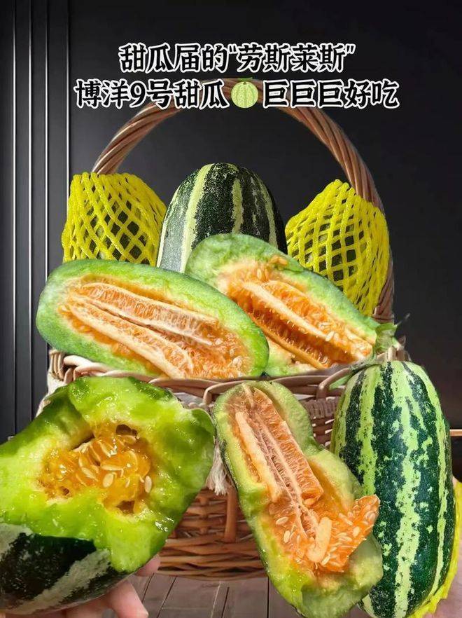 Cucumber cultivation techniques