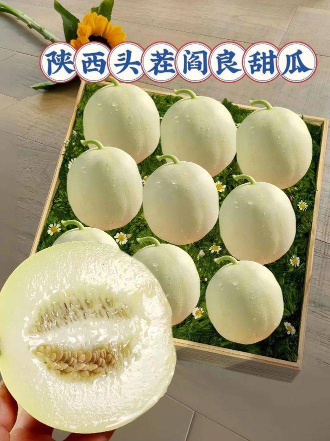Cucumber cultivation techniques