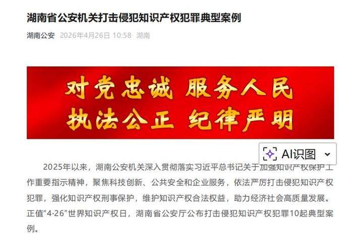 2026知识产权典型案例