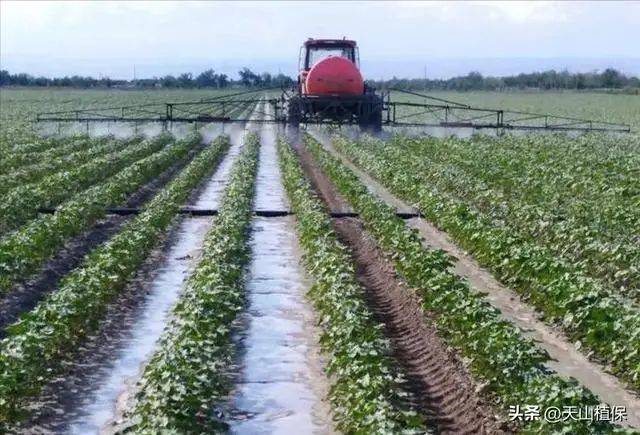 Technology for cotton cultivation