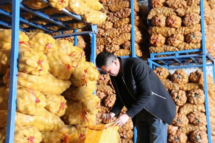 Potato farming techniques