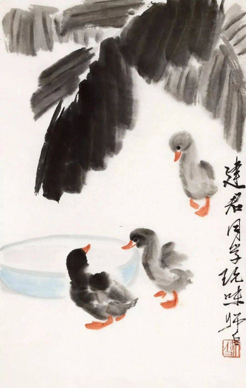 Animal sketching steps
