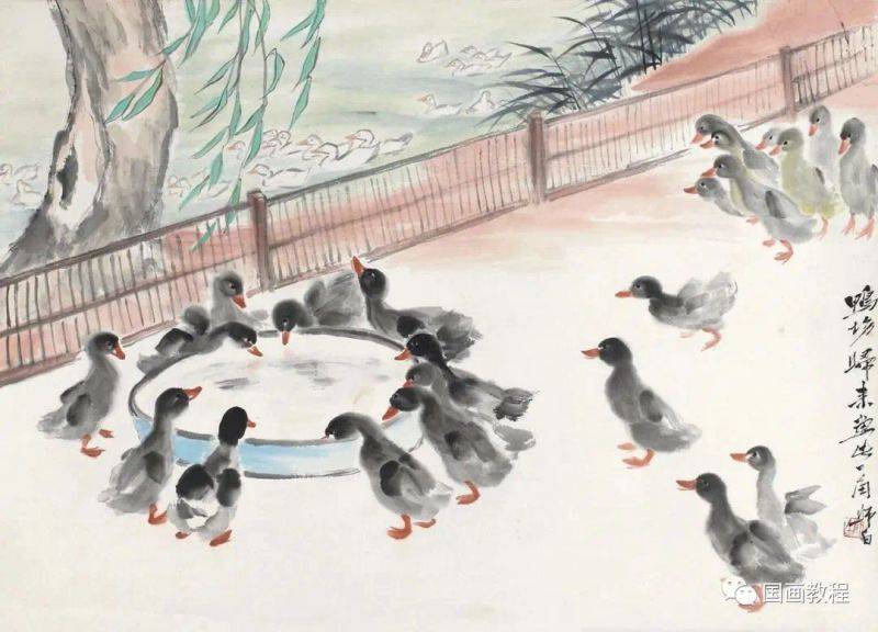 Animal sketching steps