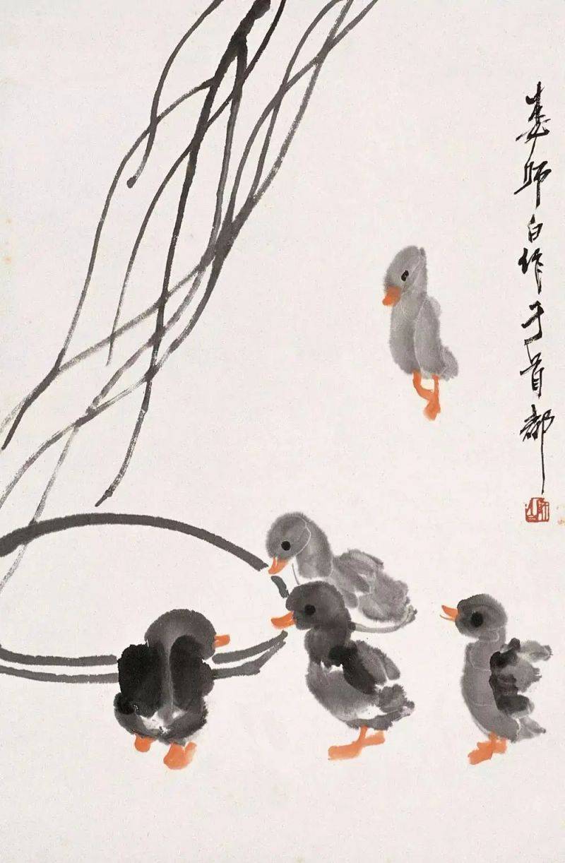 Animal sketching steps