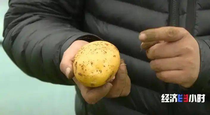 Potato farming techniques