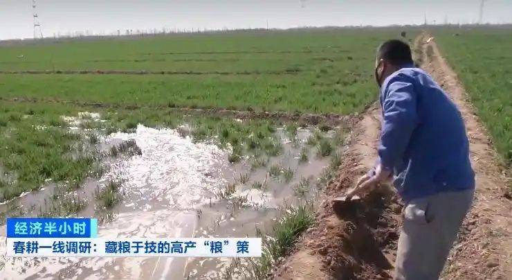 Potato farming techniques