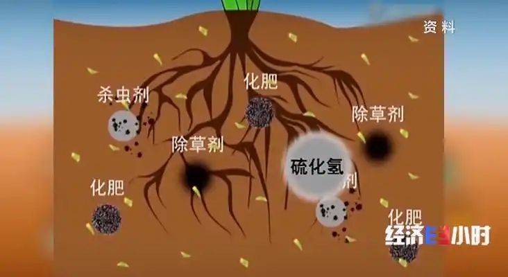 Potato farming techniques