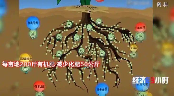 Potato farming techniques