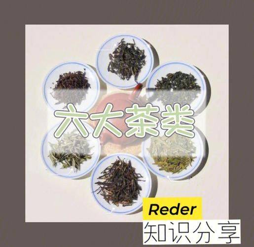 Tea basic learning materials