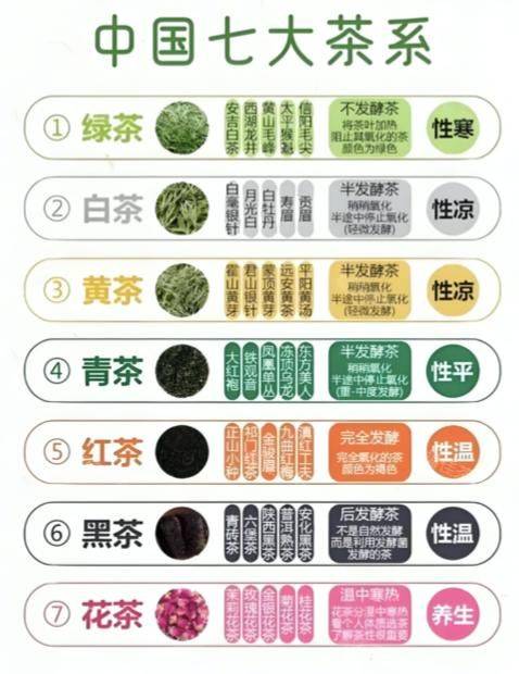 Tea basic learning materials
