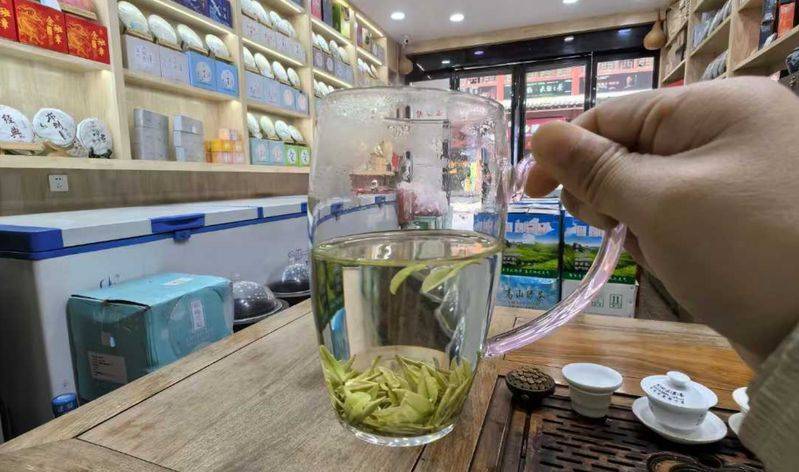 Tea basic learning materials