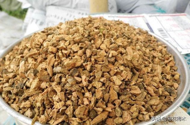 石斛家庭盆栽种植方法