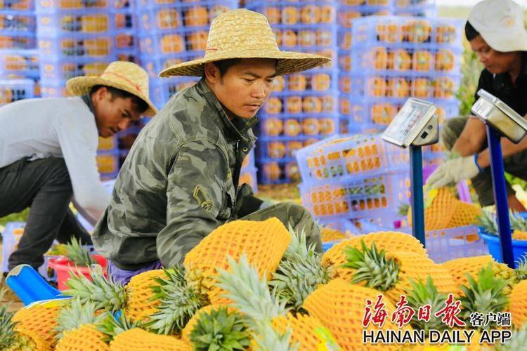 The method of planting the fruit of the holy virgin