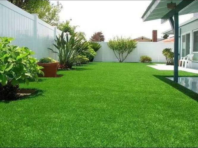 How to grow grass