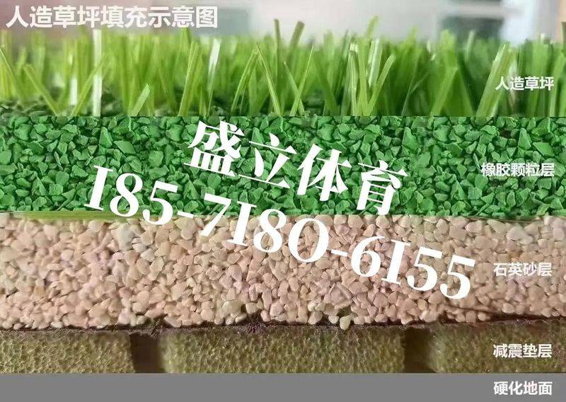 How to grow grass