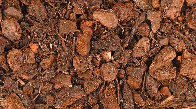 The method of family plant cultivation