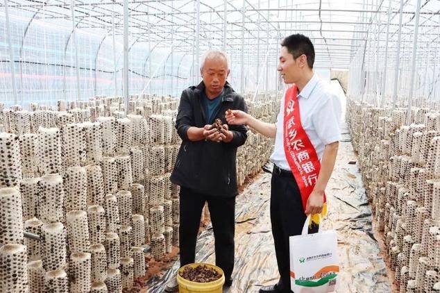 臭氧水在黑木耳种植技术中的应用