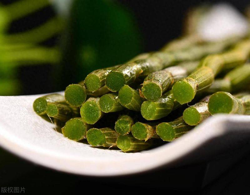 石斛家庭盆栽种植方法