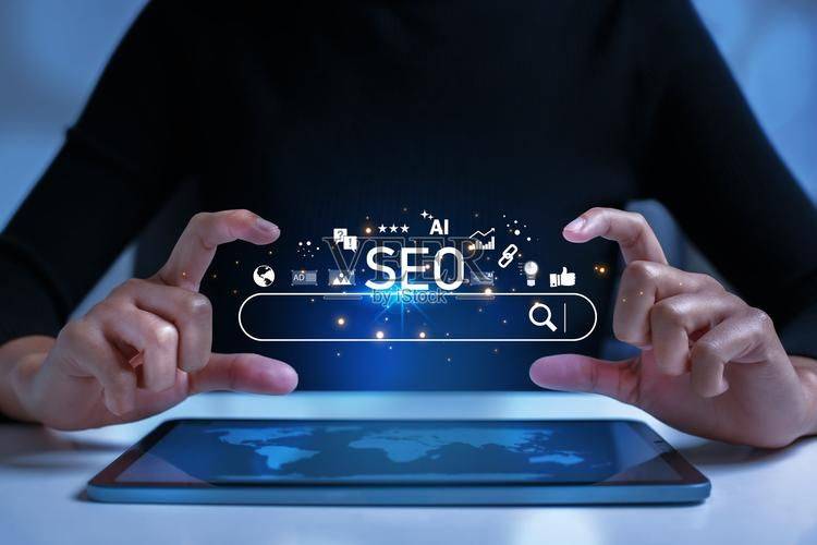 搜索引擎优化(seo)知识完全手册