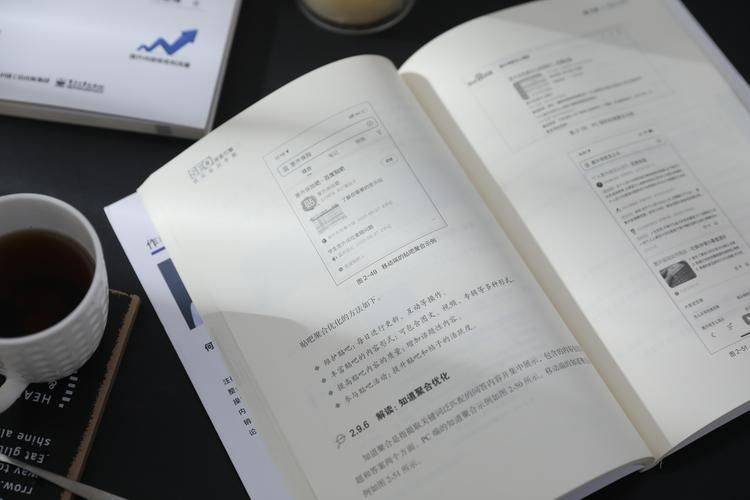 搜索引擎优化(seo)知识完全手册