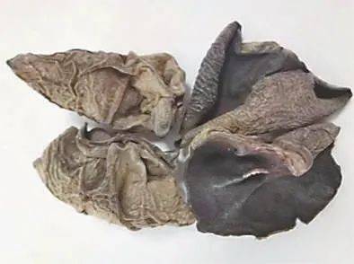 Application of ozone-water in black wood-earing techniques