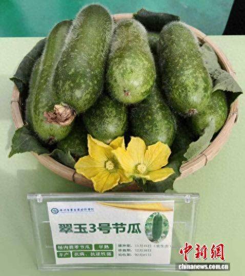 Cultivation methods