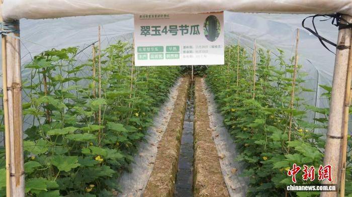 Cultivation methods