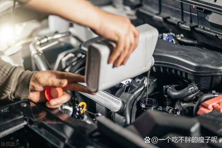 Vehicle maintenance promotion