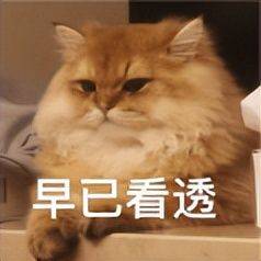 奥迪q3降价
