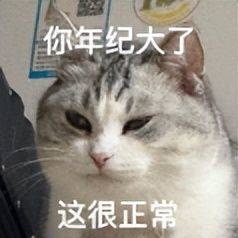 奥迪q3降价