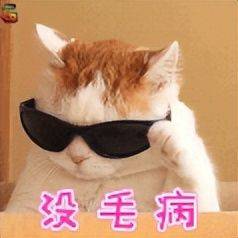 奥迪q3降价