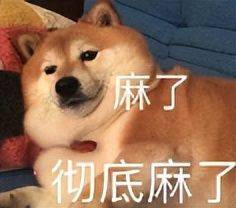 奥迪q3降价