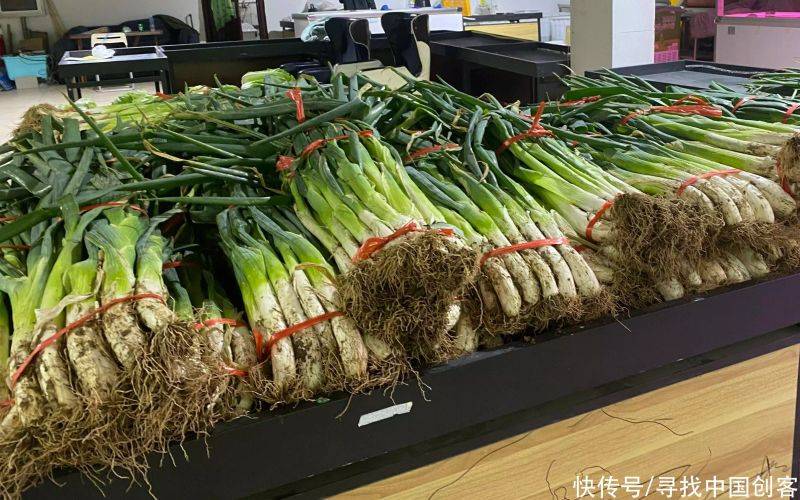 Technology for growing cabbage