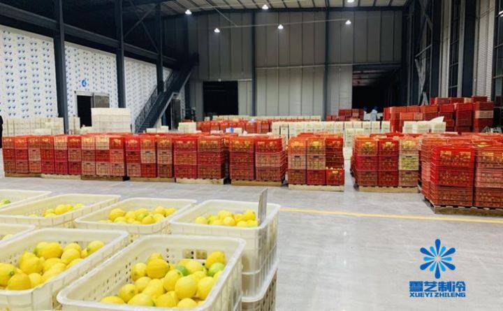 Lemon cultivation methods