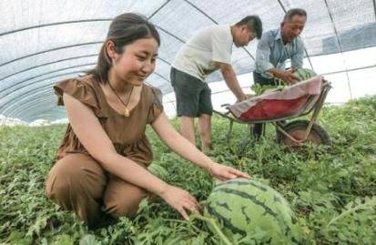 Greenhouse watermelon cultivation techniques