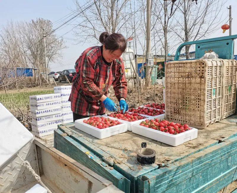 The method of planting the fruit of the holy virgin