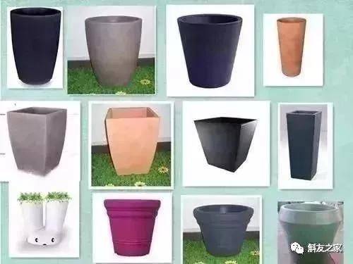 The method of family plant cultivation