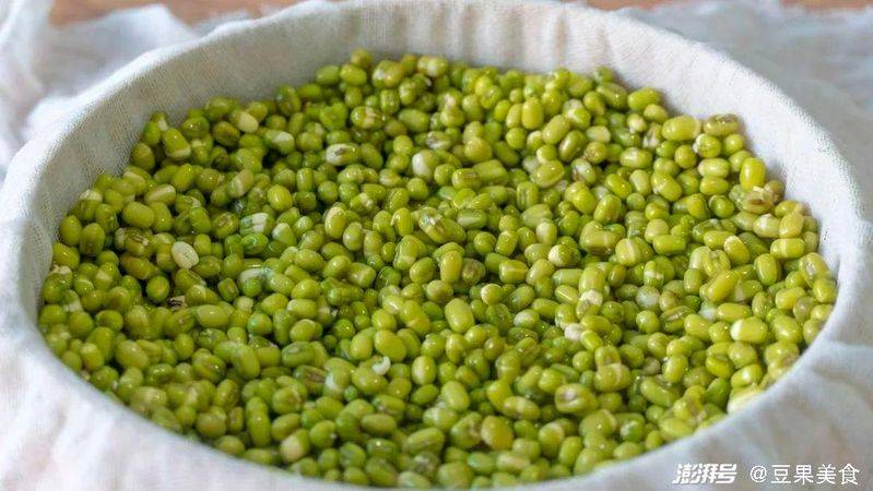 How green bean sprouts grow