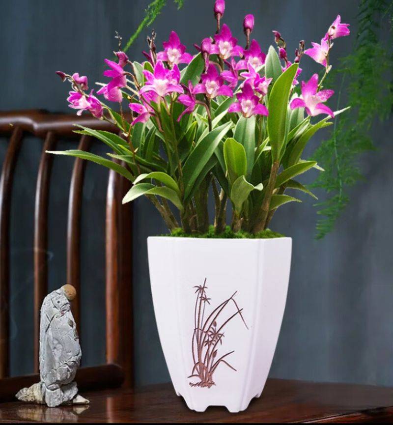The method of family plant cultivation