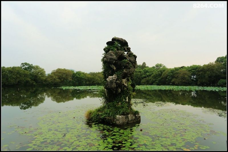 小瀛洲船票价