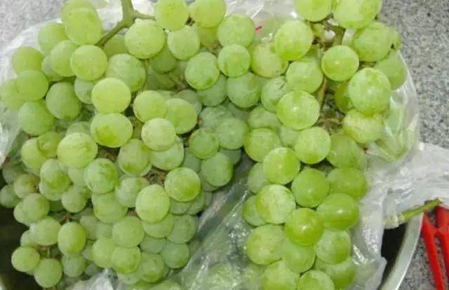 葡萄酒文化常识