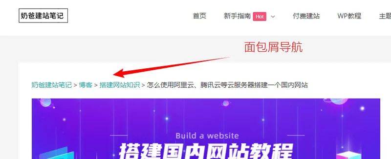 Seo self-learning network