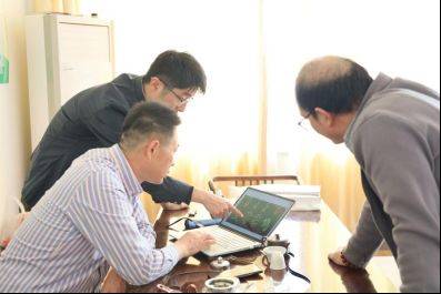 Technology for the cultivation of grape trees in large sheds