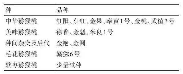 金艳猕猴桃种植技术