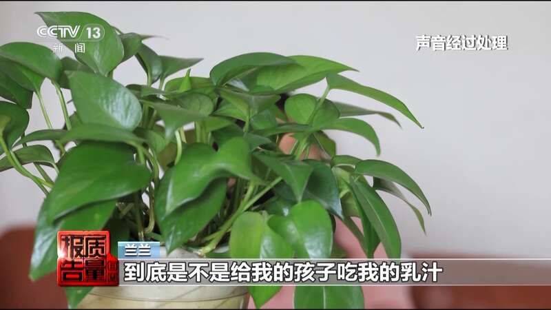 白晋博士丰胸多少钱