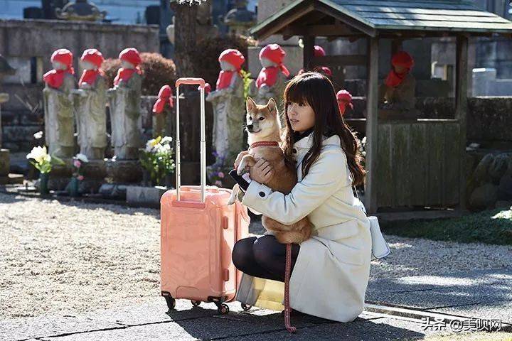 日本割双眼皮多少钱