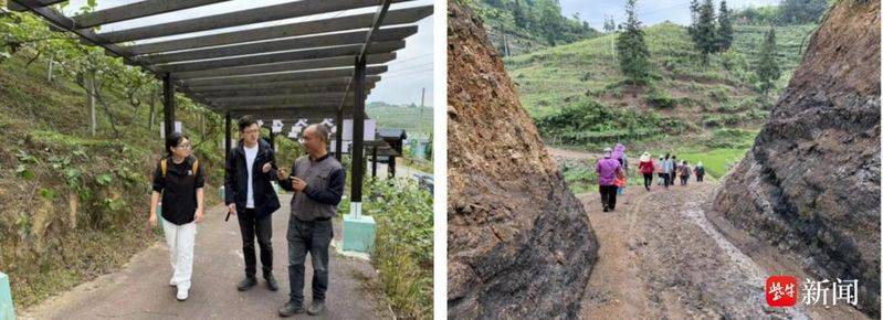 The technology of wild monkey cultivation