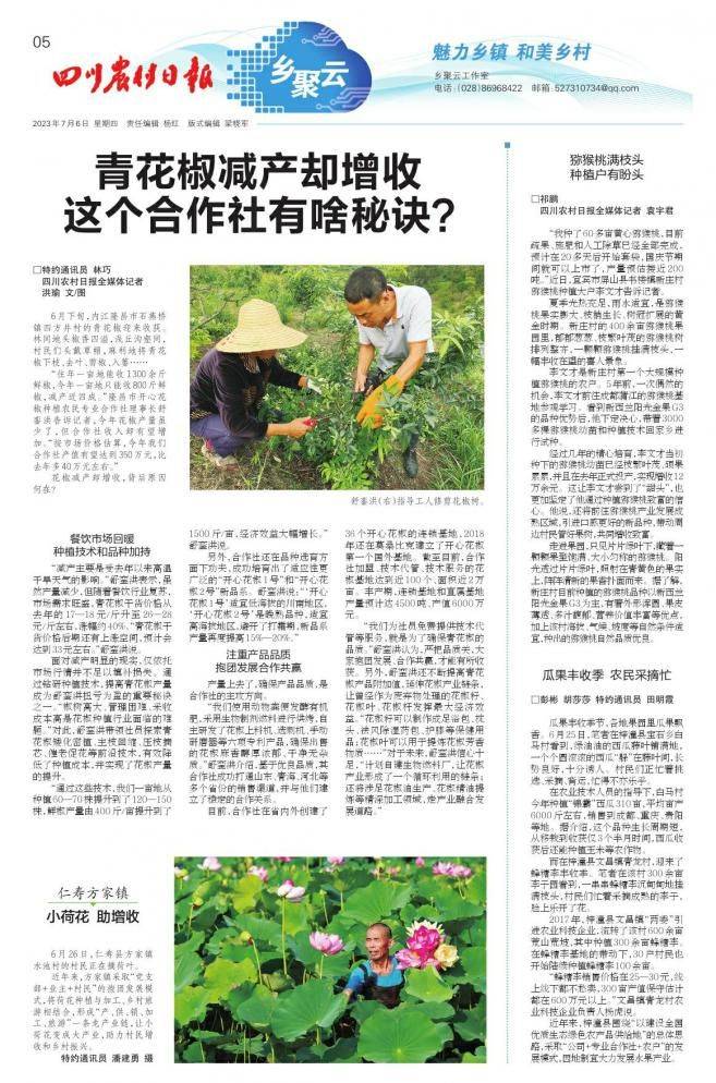 The technology of wild monkey cultivation